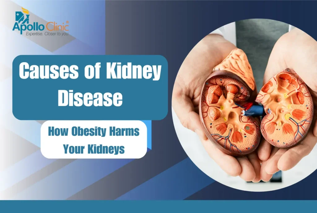 Causes of kidney disease