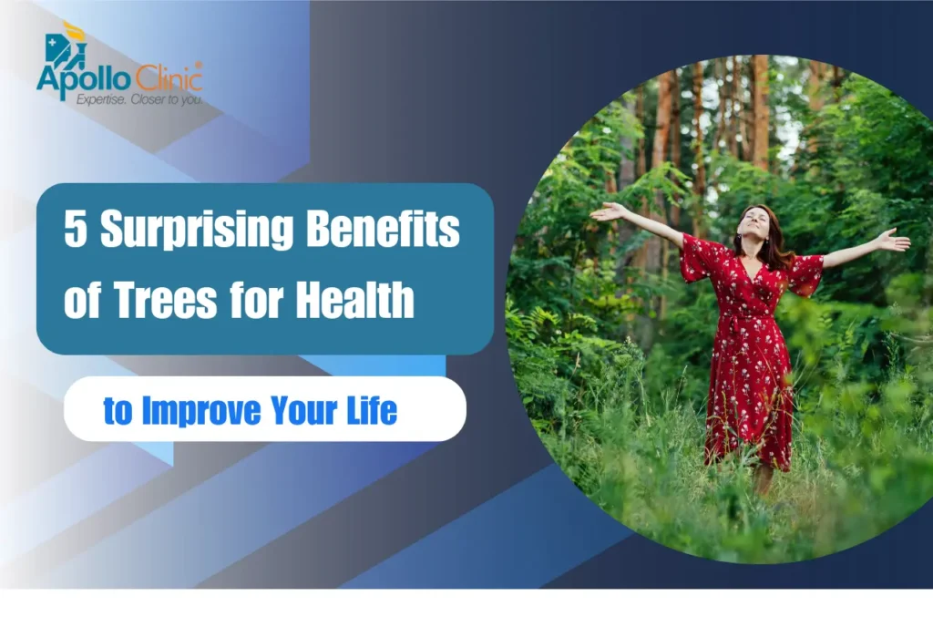 5 Surprising Benefits of Trees for Health