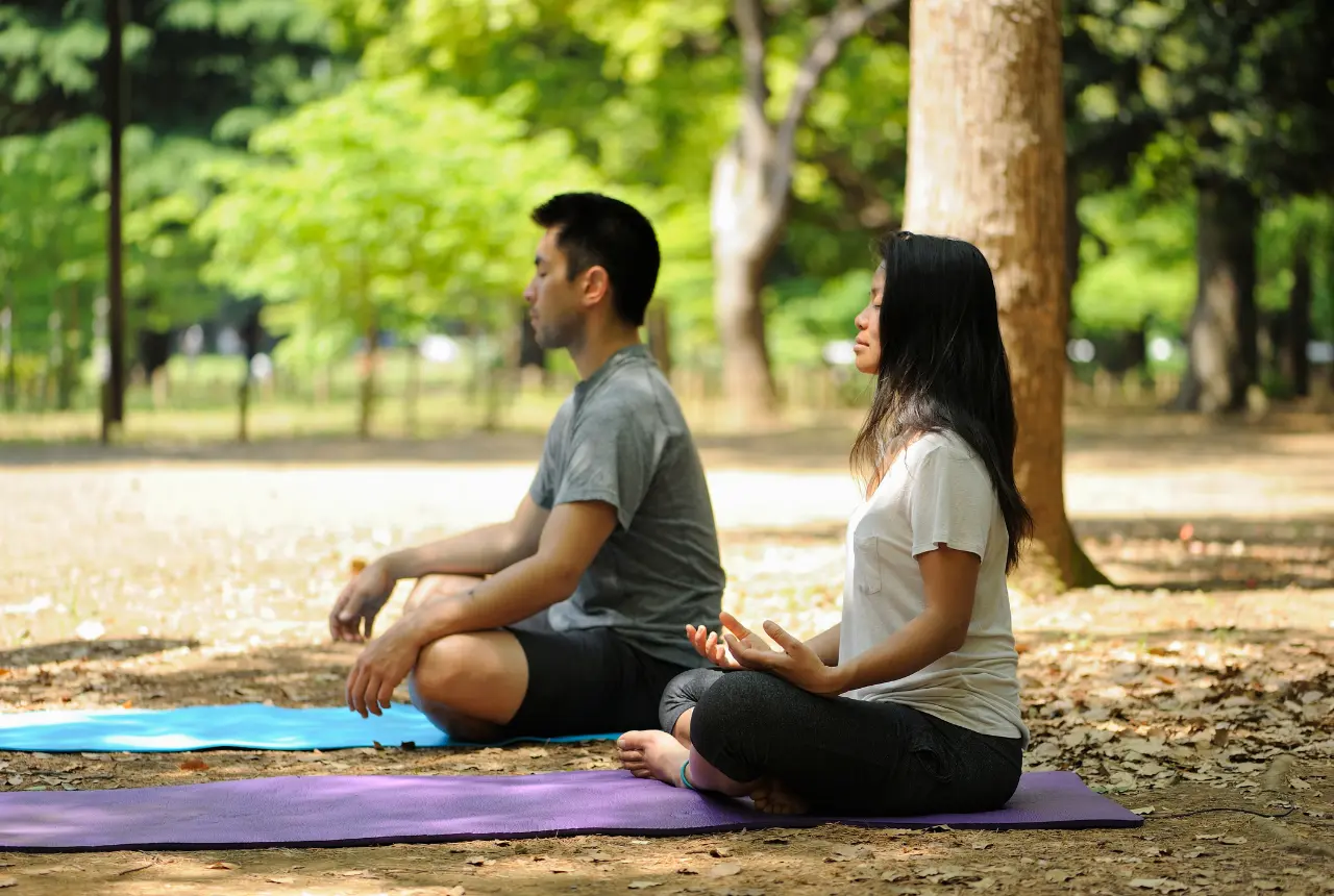 Stress Busters How Trees Promote Mental Wellbeing