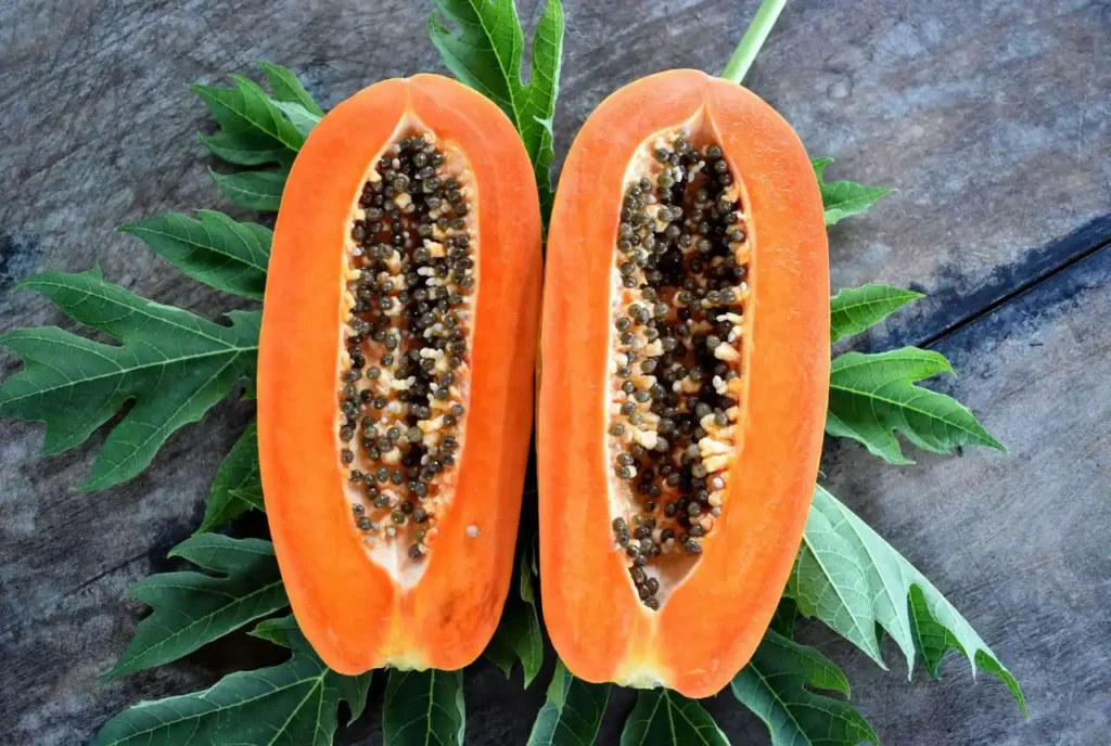 Papaya