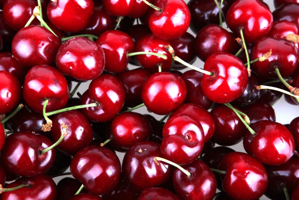 Tart Cherries