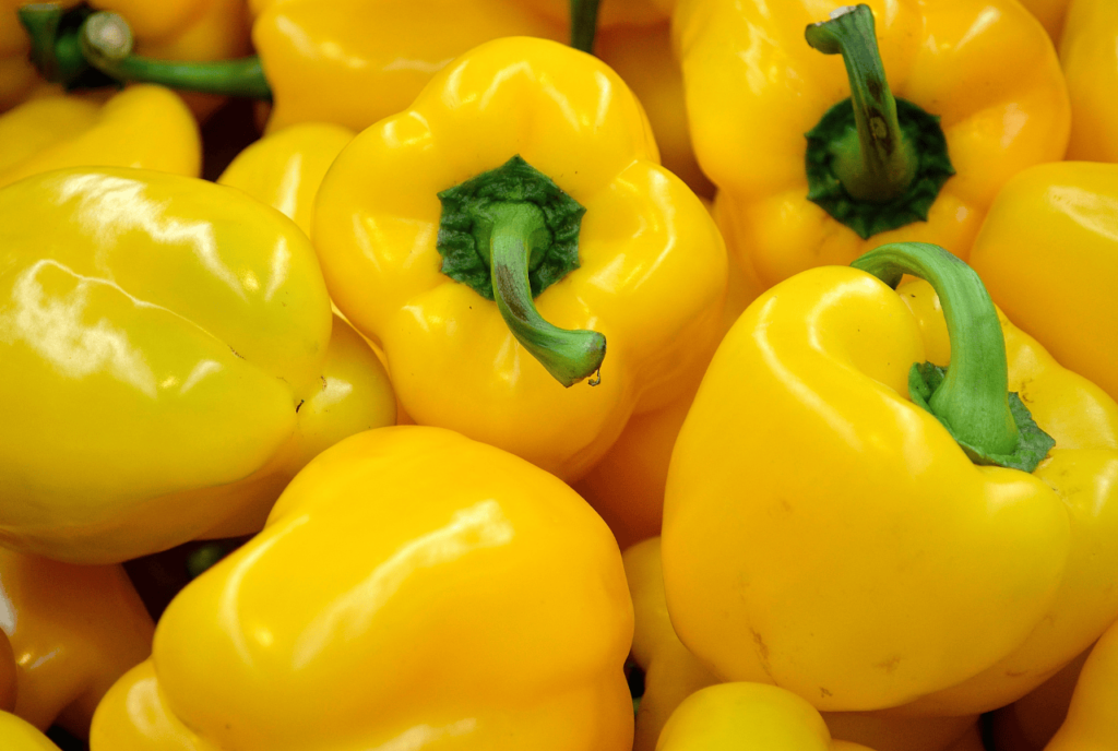 Yellow Bell Pepper